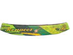 GRADE DIANTEIRA CAMPIONE DD / 63 - Imagem 2